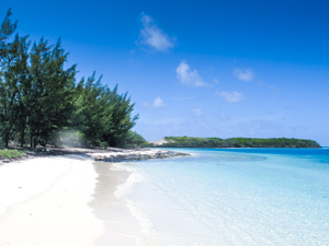Beach in the Abacos, Bahamas
